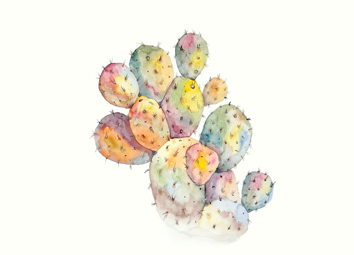 Watercolor Cactus 5 by Irina Anis