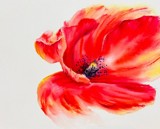 Poppies Watercolor Painting