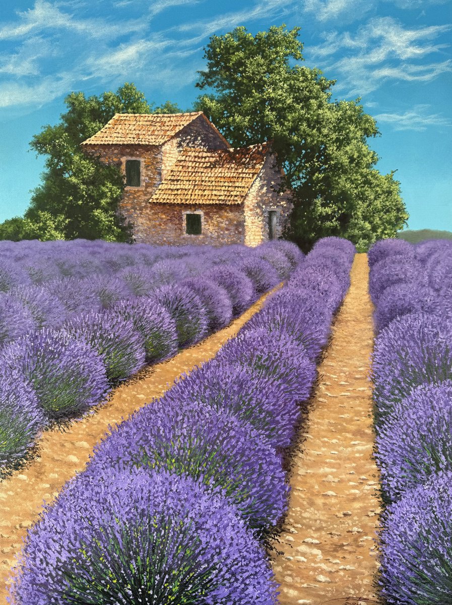 Valensole by Igor Dubovoy