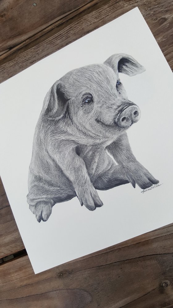 Farm Animals Series - Piggy