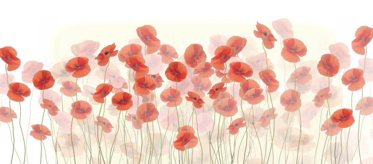 Poppies by Fionna Bottema