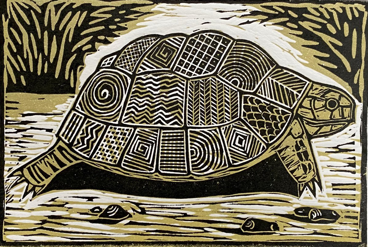 Limited edition handmade linocut. Tortoise 2/25 by Jane Dignum