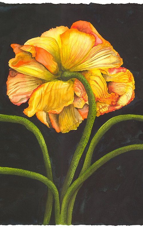 Exuberance by Mary Lyn Gough