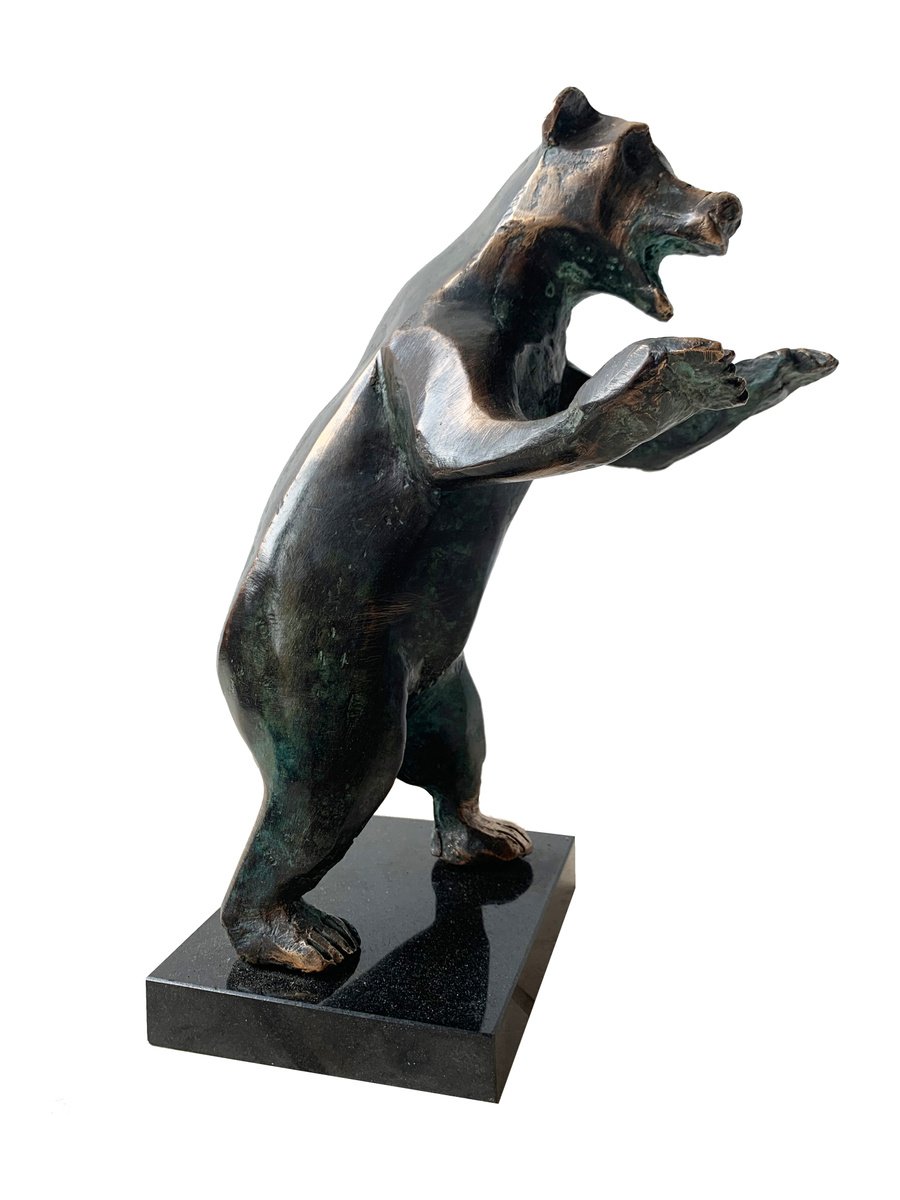 Wild bear by Toth Kristof