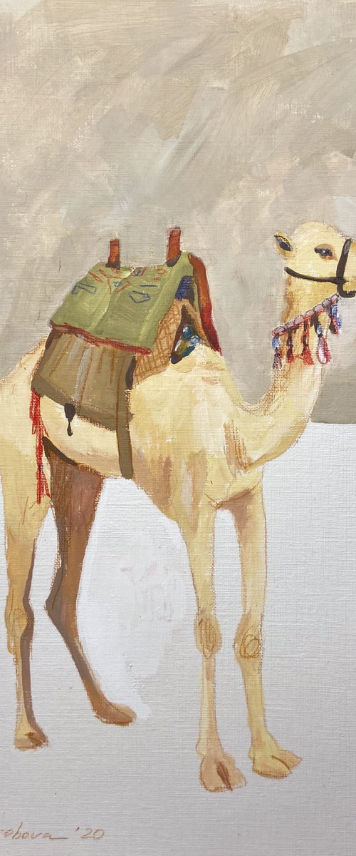 Camel by Anastasia Mazur-Skrobova