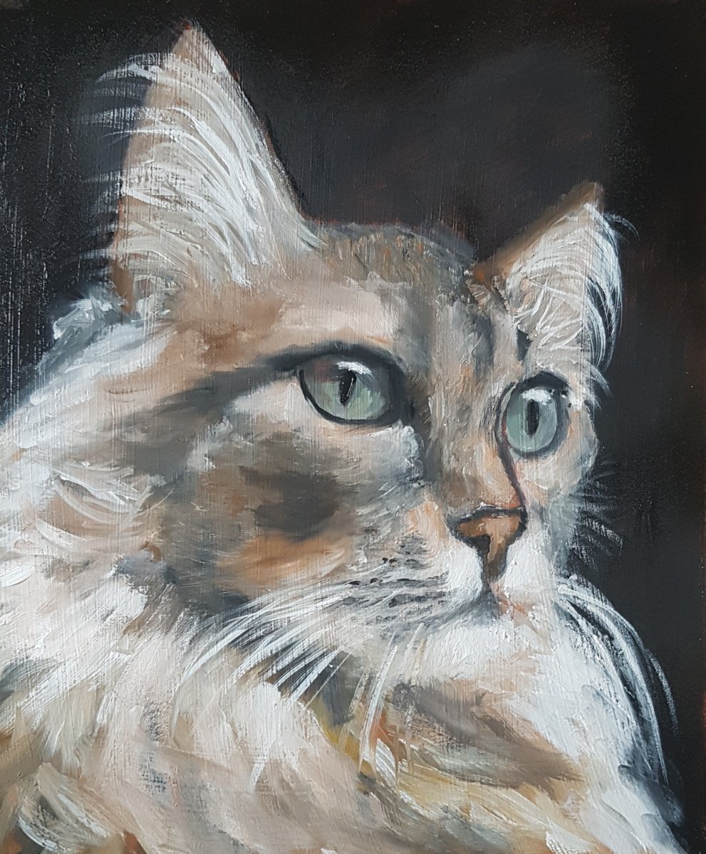 Impressionistic Animal Oil Painting By Els Driesen, 9 X 12, Maine Coon, Original Artwork