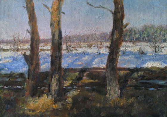 The Sunny Spring Day