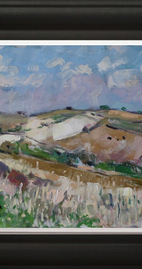 The Downs nearr Findon by Andre Pallat