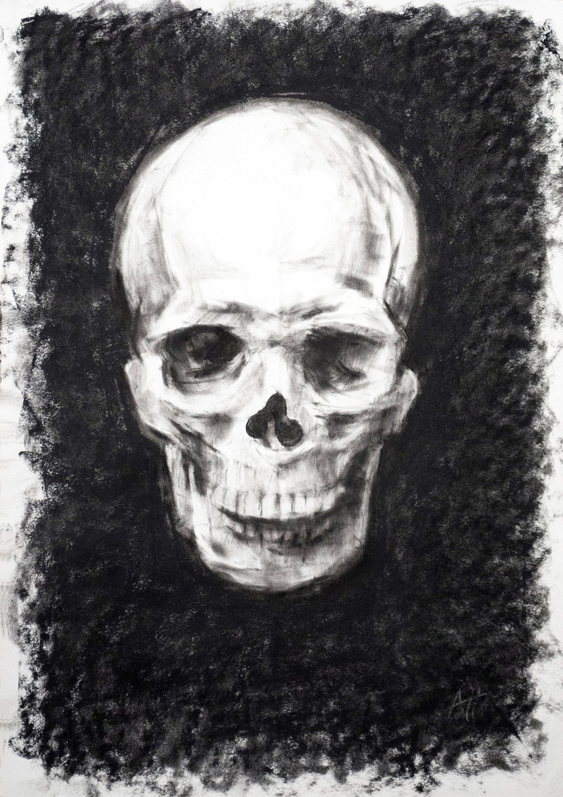Time Skull Charcoal Drawing  Human Skull Drawing for Sale