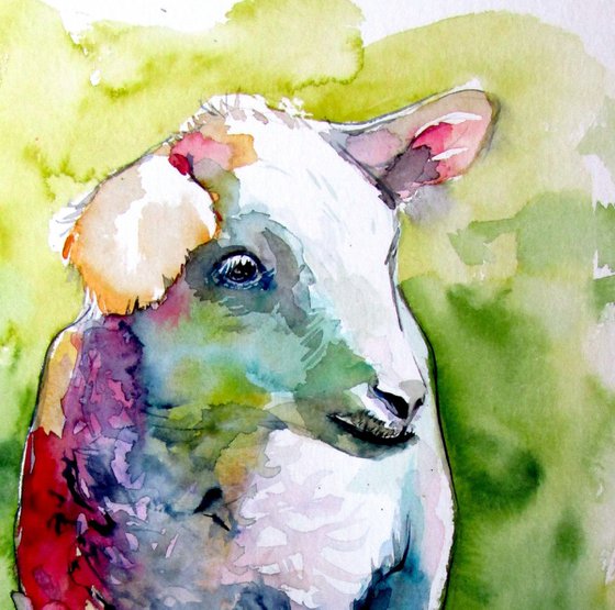 Cute lamb