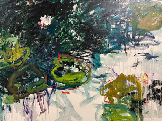 Lily pond