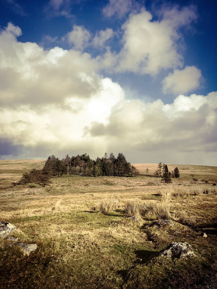 Sheepstor, Dartmoor - A4 by Kerry Gerdes