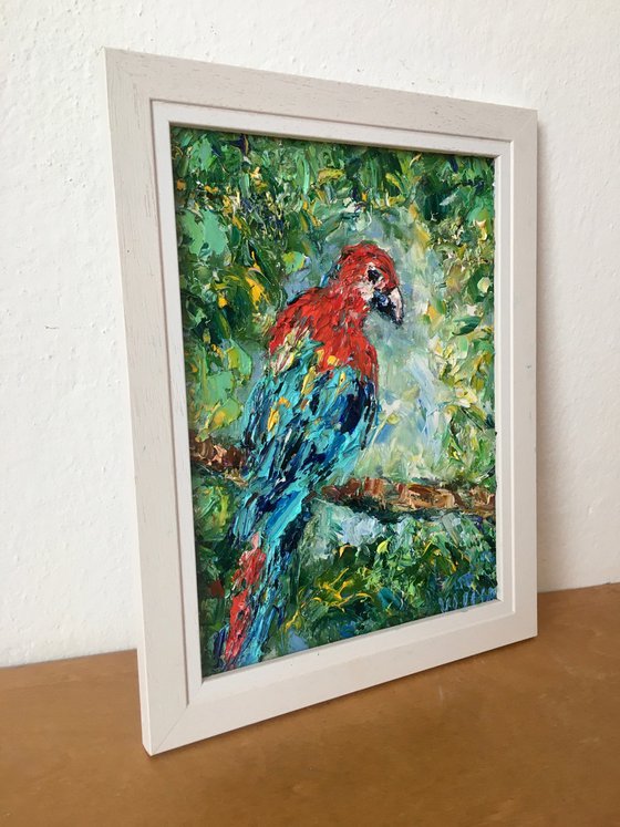 Parrot Ara