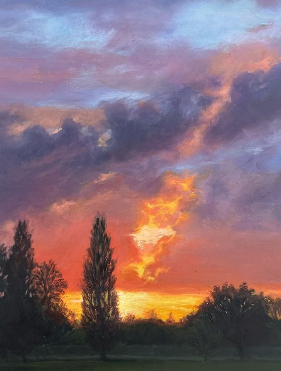 Sunset in MH Park (XVII)