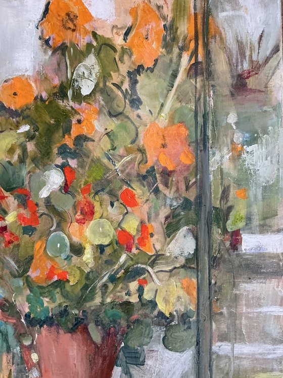 Winter Greenhouse Nasturtiums