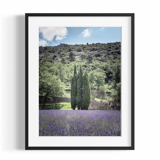 THE LIGHT OF FLOWERING