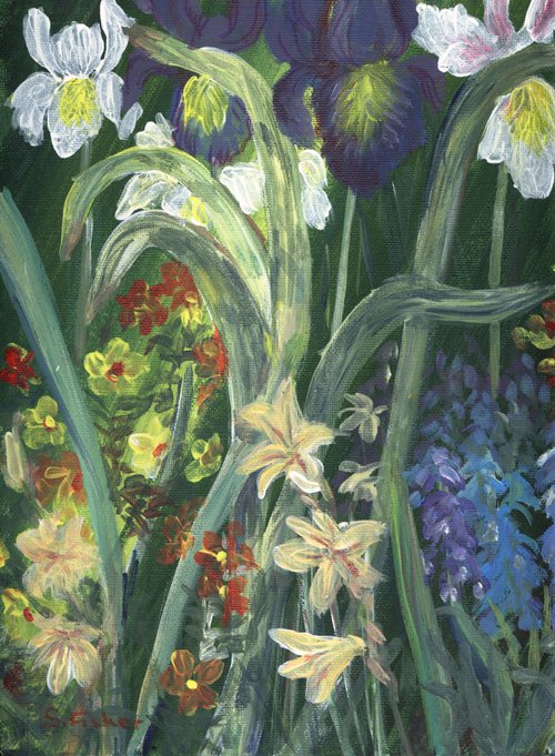 late spring bulbs by Sandra Fisher