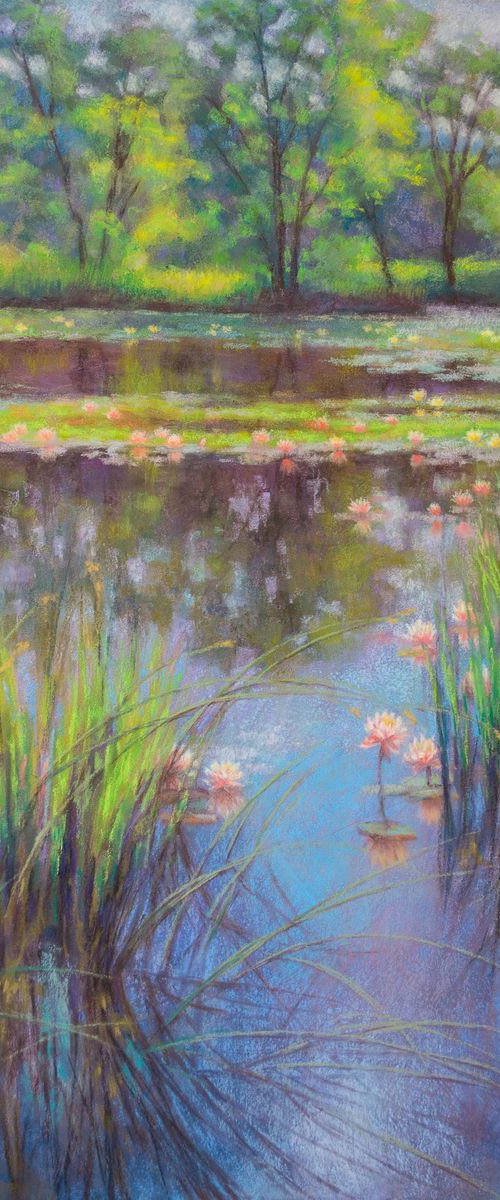 Water Lily Pool, 1 by Fiona Craig