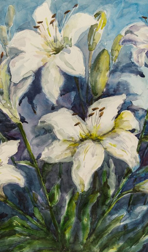 White lilies by Galyna Shevchencko