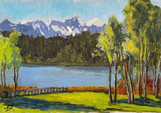 Wildsee Landscape