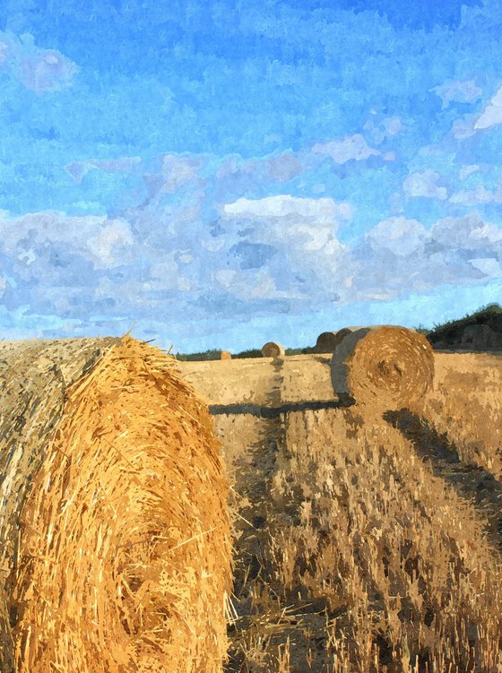 Summer Bales