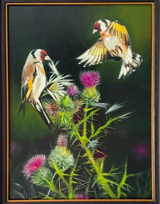 Birds and Thistle