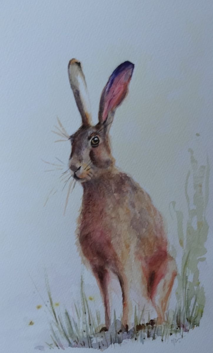 Animal Watercolour By Mel Davies Original Art, 8 X 13", Spring In The Air 3, Original Artwork