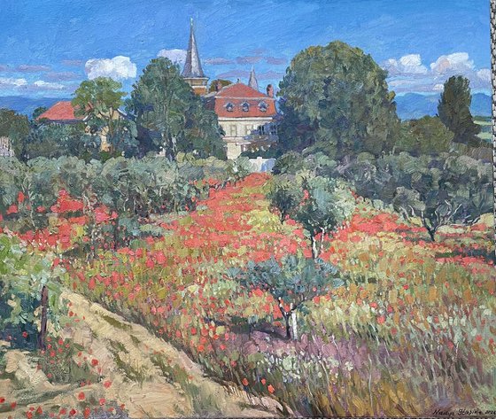 Poppy field near the old estate