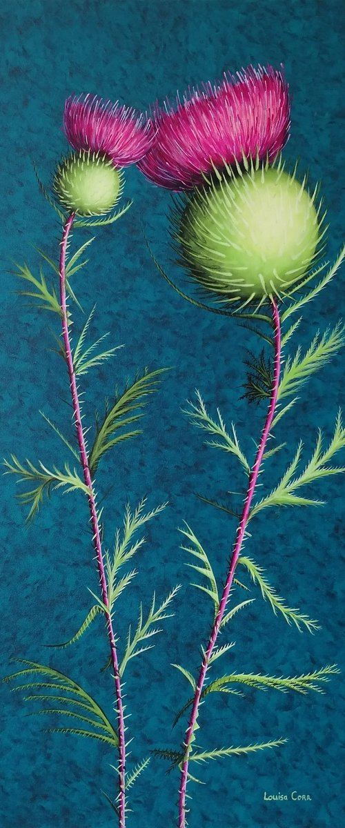 Scotch Thistles by Louisa Corr