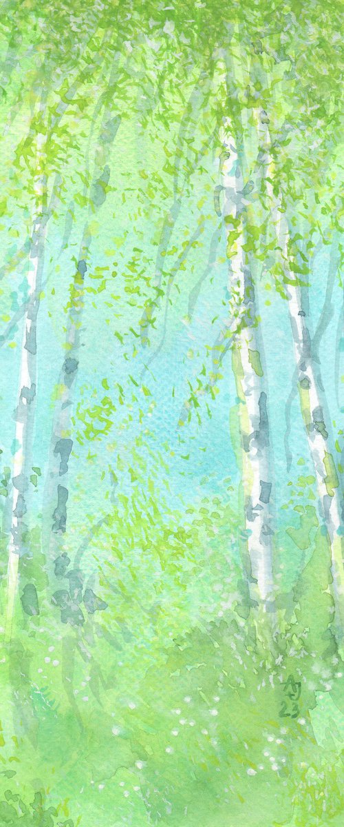 Spring birches by Jolanta Czarnecka