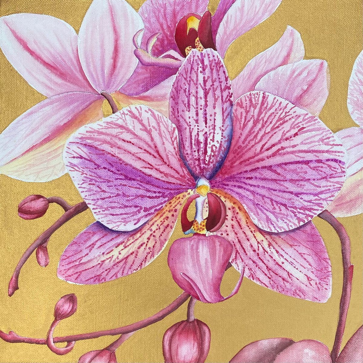 Into Paradise VI- Majestic Orchid by Jill Griffin