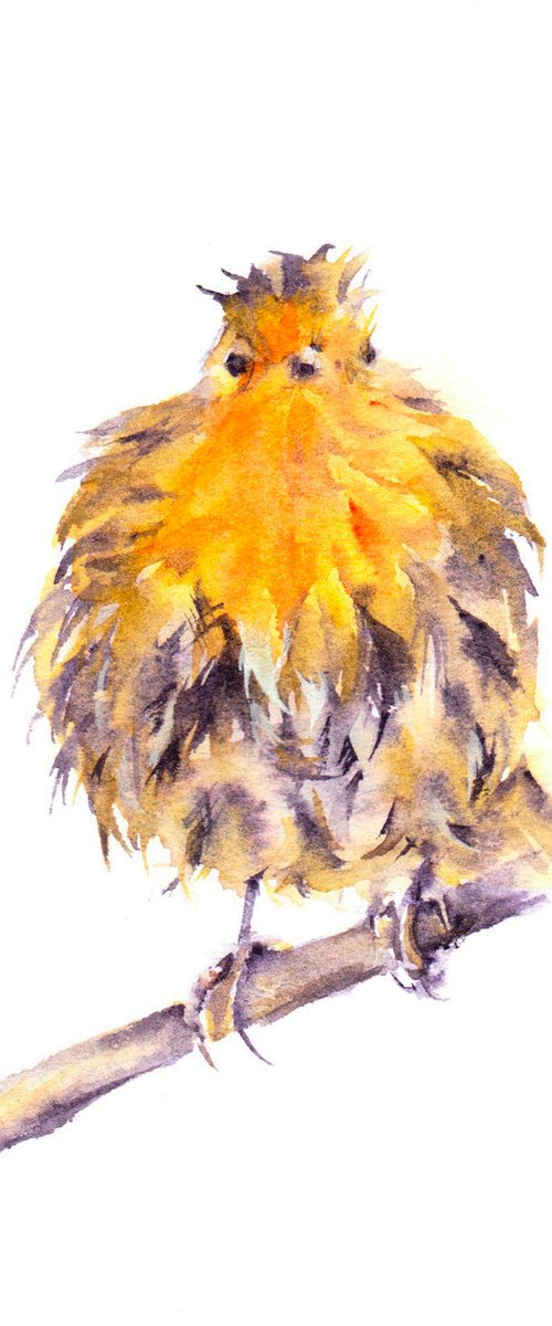 Soggy Robin by Anjana Cawdell