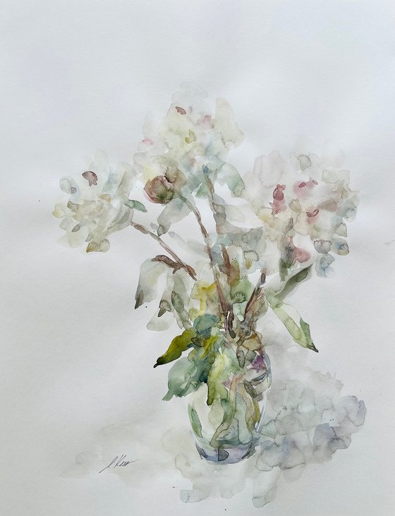 Peonies 50x65 cm 2025