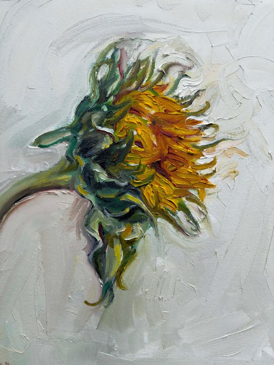 Wilting Sunflower