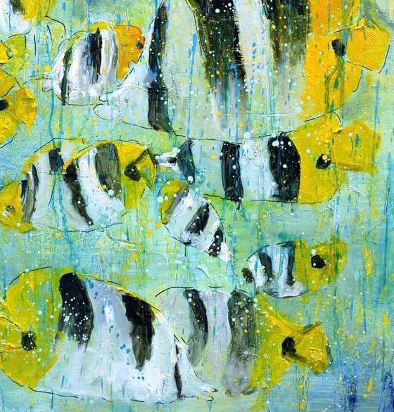 Tropical fish