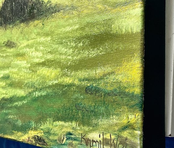 Canada Common New Forest