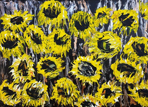 Sunflower field by Daniel Urbaník