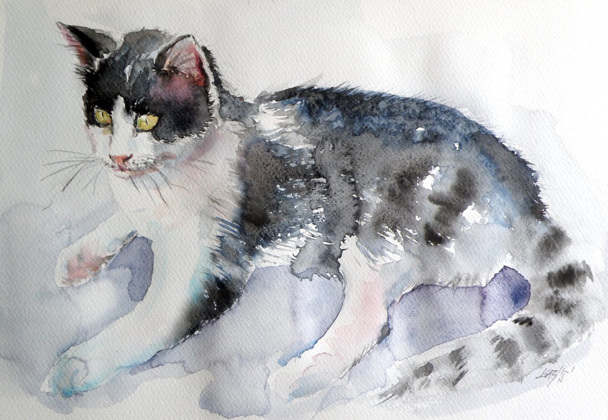 Cat II by Kovcs Anna Brigitta