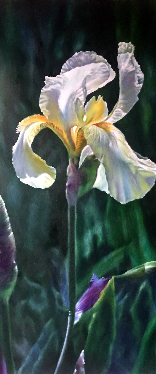 Realism oil painting:flowers c134 by Kunlong Wang