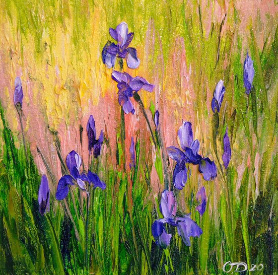Irises