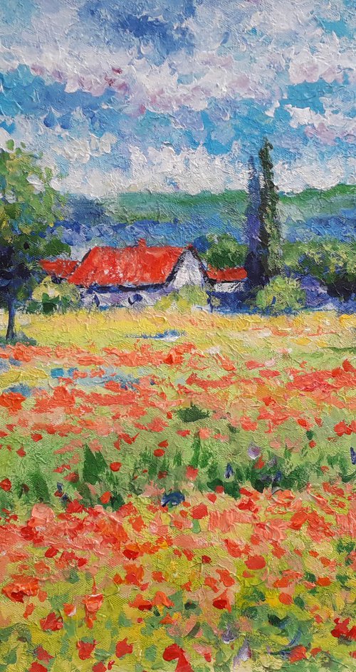 Provence by Alexander Zhilyaev