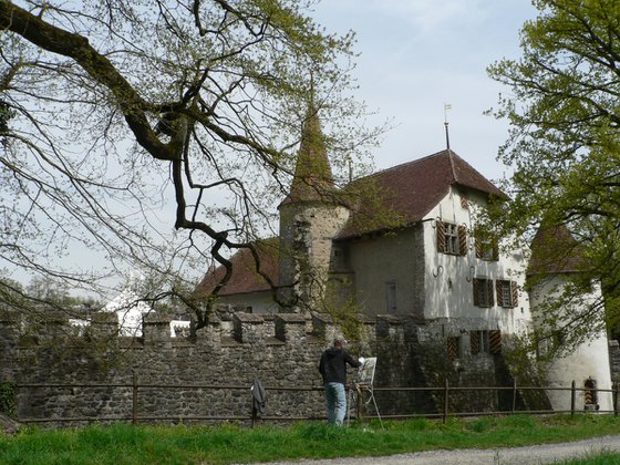 Old castle Hallwyl