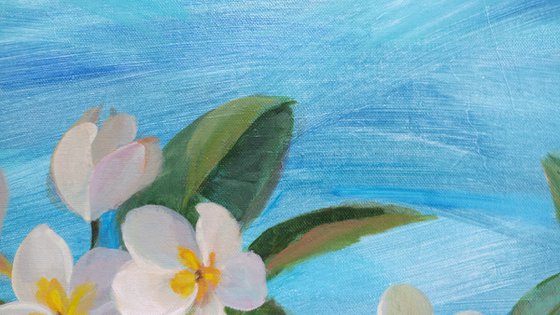 Oceanside Plumeria