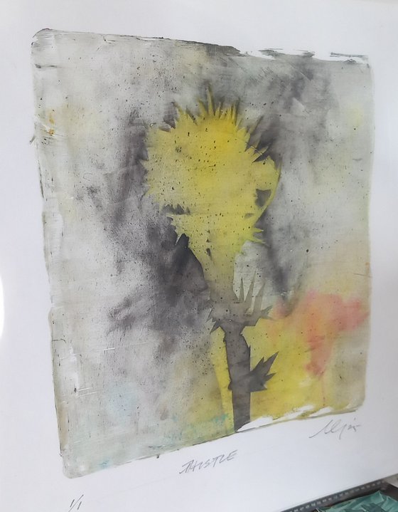 Thistle
