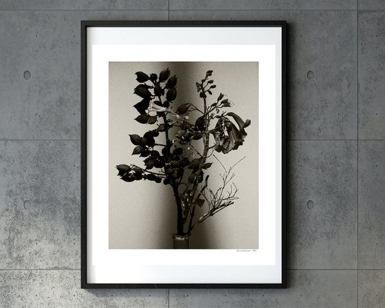 “Portrait” #001-Paulownia flower, Bamboo-