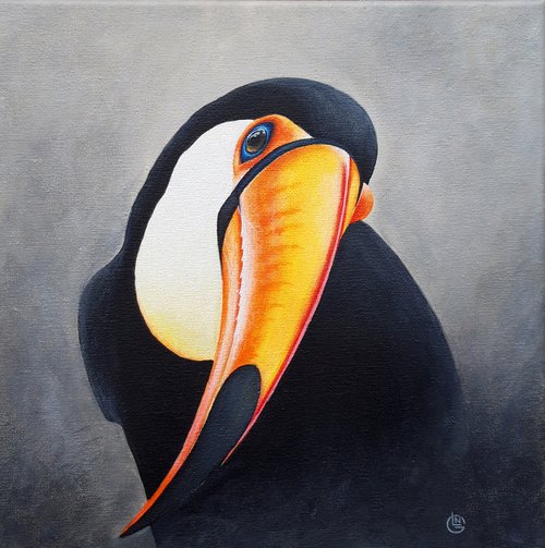 Toucan by Natalia Langenberg