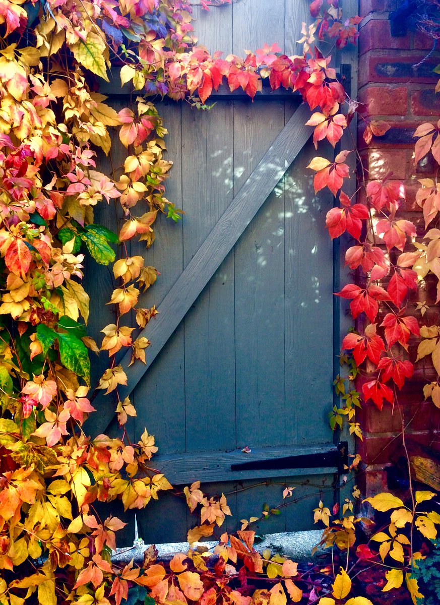 Autumn Garden Gate by Vincent Abbey