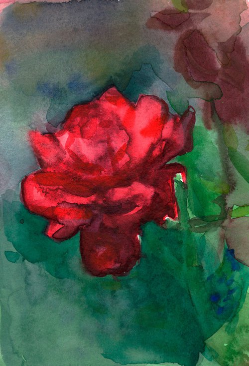 The rose by Anastasia Borodina
