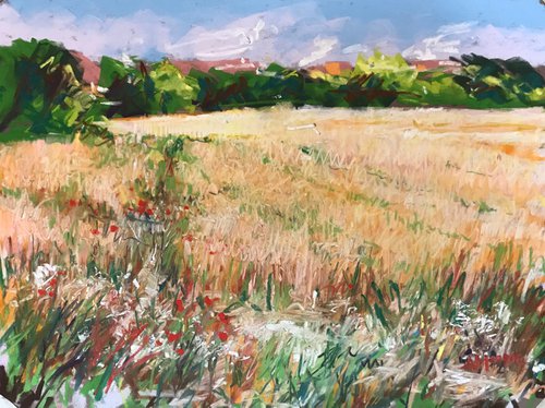 Poppies and Wheat by Andrew Moodie