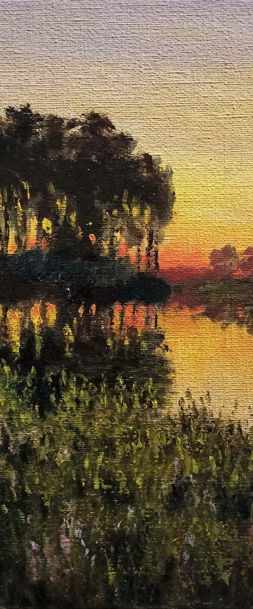 Evening fire by Oleh Rak